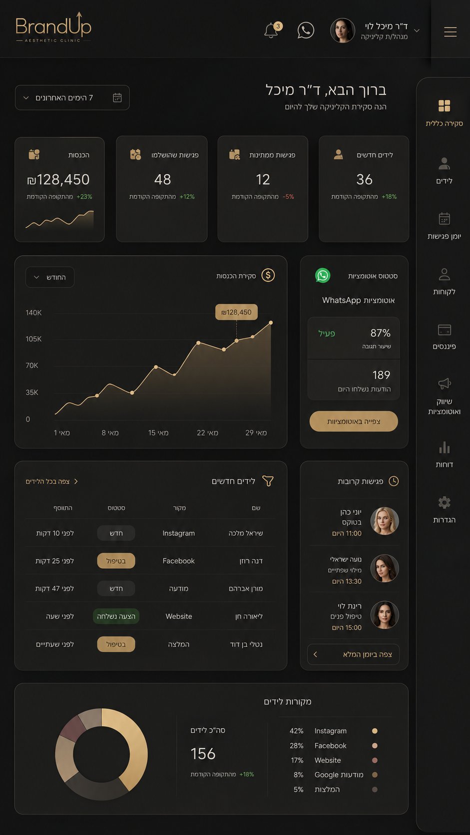 לוח בקרה — BrandUp Dashboard